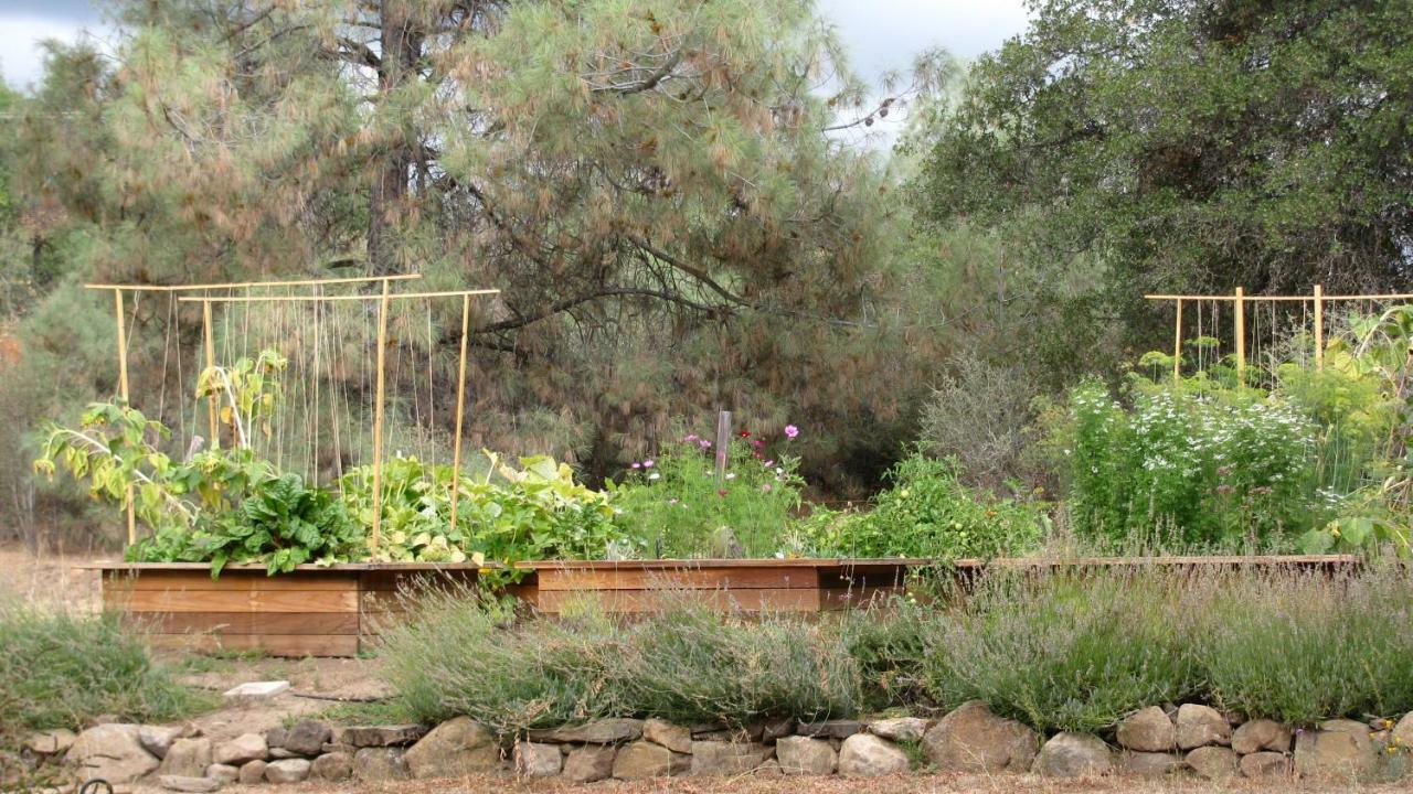 Yosemite Rose Bed And Breakfast Groveland Luaran gambar